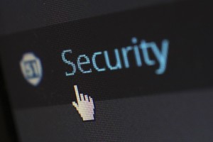 WordPress Plugin Security Vulnerabilities